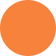 orange circle